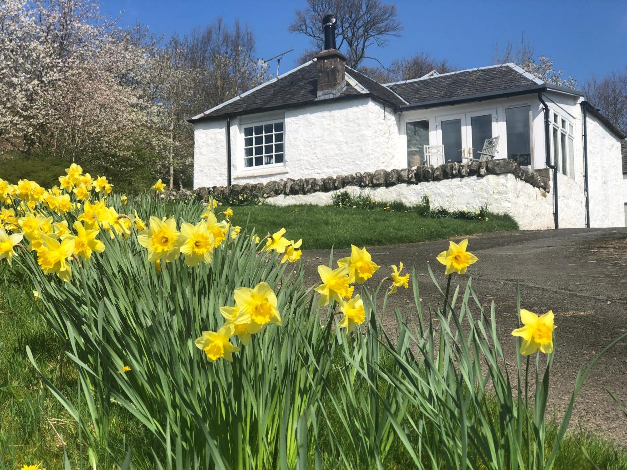 Nether Glenny Farm Villa Stirling Exterior photo